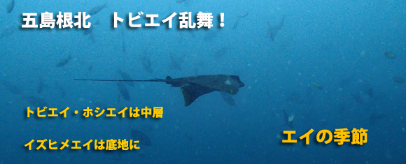 �g�r�G�C����