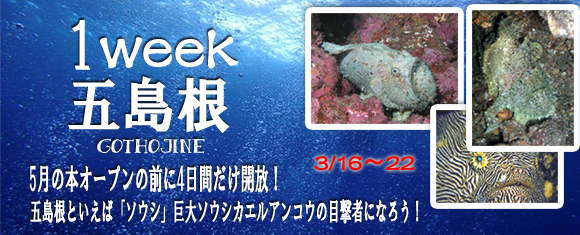�ܓ����Pweek����I�[�v��