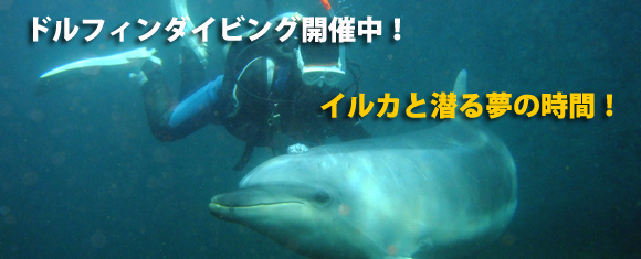 �h���t�B���_�C�r���O�J�Ò�