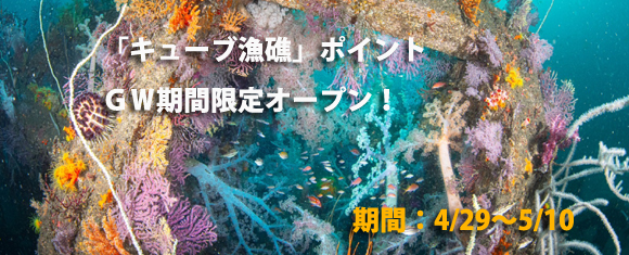 �L���[�v���ʌ���I�[�v��