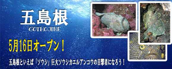 �ܓ�������I�[�v��