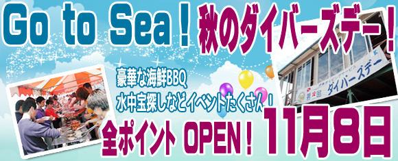 �H�̃_�C�o�[�Y�f�[