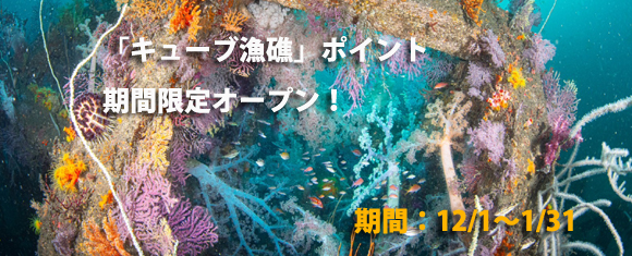 �L���[�u����I�[�v��"